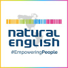 Naturalenglish.com logo
