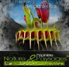 Natureetpaysages.fr logo