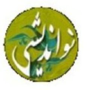 Nauandeshi.com logo