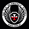 Ndie.pl logo