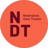 Ndt.nl logo
