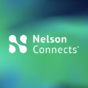 Nelsonstaffing.com logo