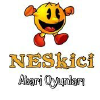 Neskici.com logo
