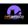 Netambulo.com logo