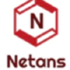 Netans.com logo