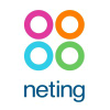 Neting.it logo