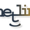 Netlingo.com logo