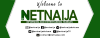 Netnaija.com logo