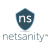 Netsanity.net logo