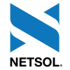 Netsoltech.com logo