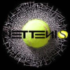 Nettenis.org logo
