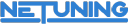 Netuning.ru logo