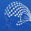 Neuroscientificallychallenged.com logo