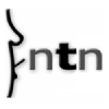 Newtransnudes.com logo