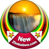 Newzimbabwe.com logo
