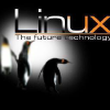 Nexolinux.com logo