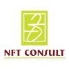 Nftconsult.com logo