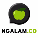Ngalam.co logo