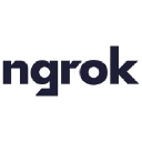 Ngrok.com logo