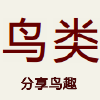 Niaolei.org.cn logo