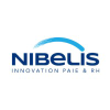Nibelis.com logo