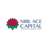 Niblcapital.com logo