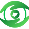 Nigerianeye.com logo