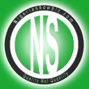 Nigeriashowbiz.com logo