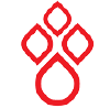 Nihbt.org.vn logo