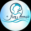 Nikruyan.com logo