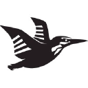 Nouse.co.uk logo