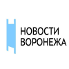 Novostivoronezha.ru logo