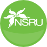 Nsru.ac.th logo