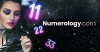 Numerology.com logo