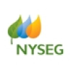 Nyseg.com logo