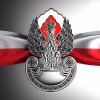 Obronanarodowa.pl logo