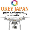 Okeyjapan.com.ng logo