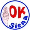 Oksiena.it logo