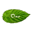 Onemint.com logo