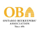 Ontariobee.com logo