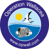 Opwall.com logo