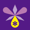 Orchidseed.co.jp logo