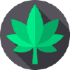 Organichealthcorner.com logo