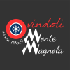 Ovindolimagnola.it logo