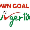 Owngoalnigeria.com logo