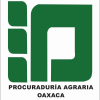 Pa.gob.mx logo