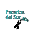 Pacarinadelsur.com logo