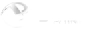 Pakistanpoint.com logo