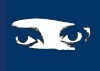 Panacek.com logo