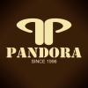 Pandora.ir logo